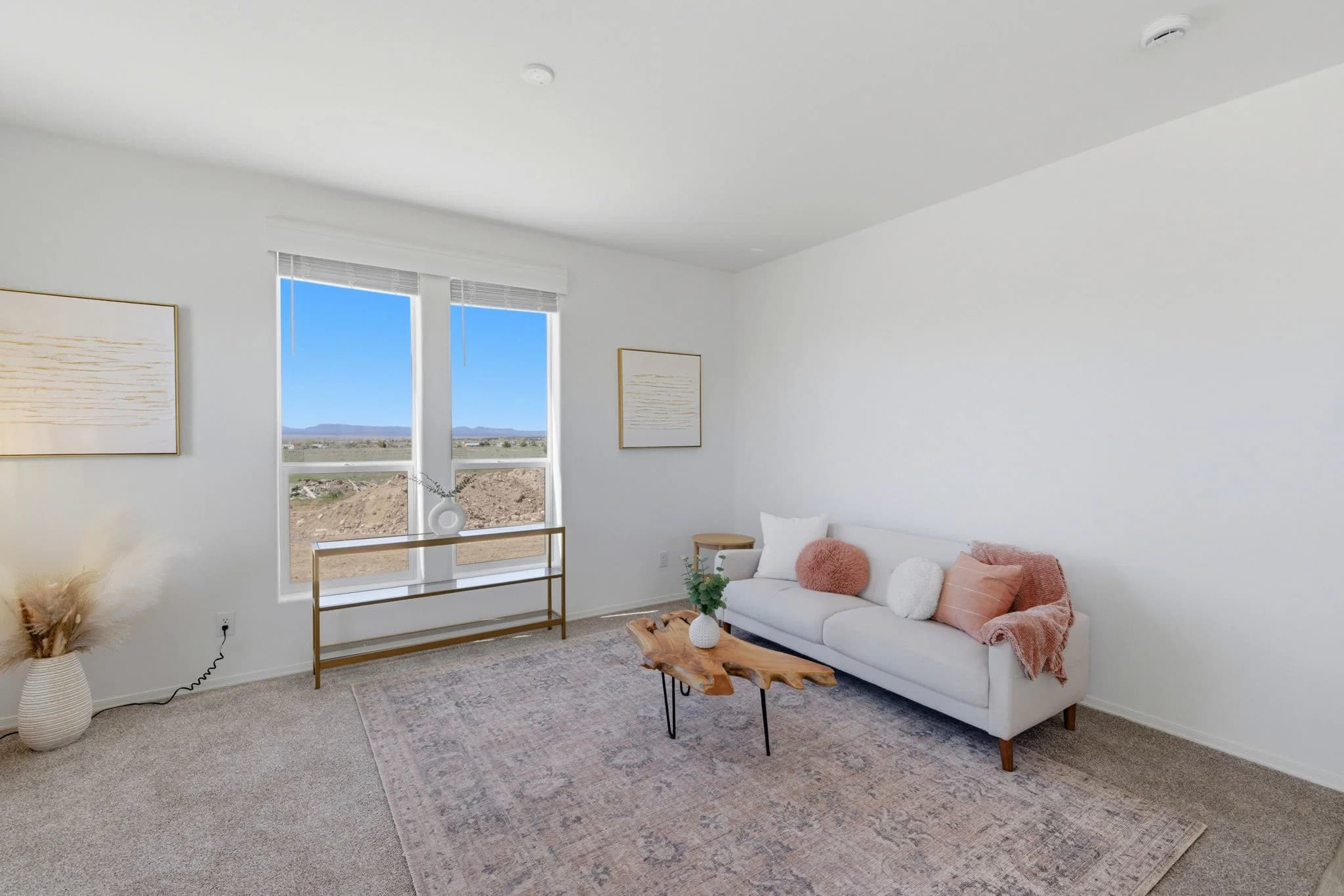 Limited series 24523a interior home features